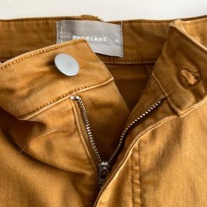 Everlane khaki brown cropped straight leg pants